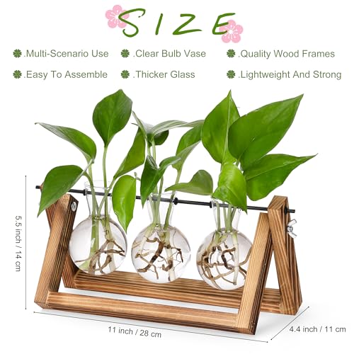 YIBOT Plant Propagation Stations with Wooden Stand & 3 Glass Bulb Vases | Plant Terrarium for Indoor Plants, Home Office Desk Decor, Gardening Gifts for Women Mom, Birthday Gifts for Plants Lovers - size: 3Bulb-A