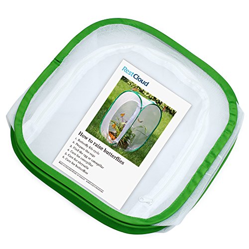 RESTCLOUD Insect and Butterfly Habitat Cage Terrarium Pop-up 12 X 12 X 12 Inches - color: White With Green, size: 12 x 12 x 12 inches