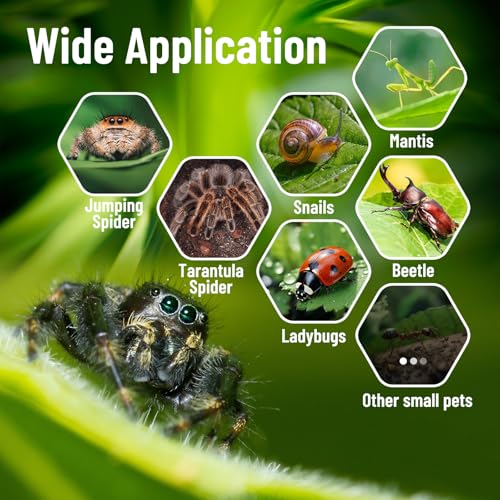 Jumping Spider Enclosure,DIY Insects Habitat,Small Reptile Terrarium Glass House Accessories Set,with Jumping Bridge Hide Water Feeder (Purple) - color: Purple