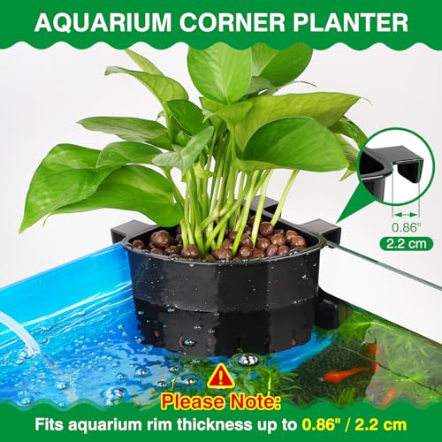 Borlech 2026 Latest Model Large Aquarium Corner Planter Hanging Plant Holder for Fish Tank Aquaponic Plant Cultivation and Aquascape Accessories Decorations (1 Pack) Black - color: Black-1 Pack