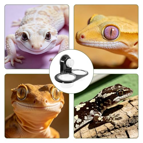Black Gecko Feeding Ledge, Suction Station with Cups and Tweezer | Detachable suction feeder, 100 disposable cups and 1 tweezer for gecko, lizard, reptiles and amphibians
