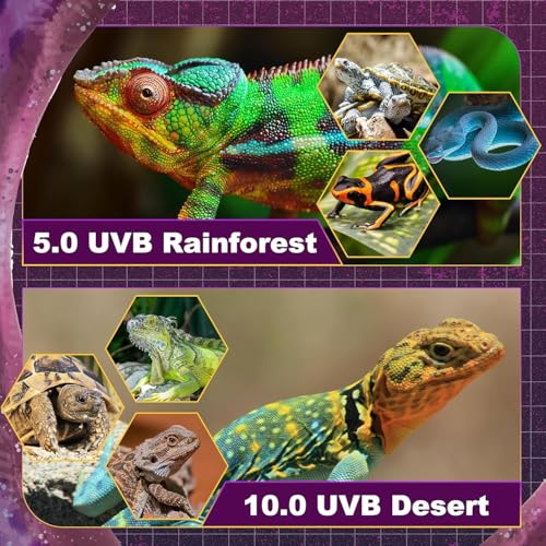 T5 HO UVB Lighting Combo Kit, Reptile Light Fixture, 39W 10.0 UVB, Fluorescent Light Bulb, Tropical Light for Reptile & Amphibian, Basking Light for Bearded Dragon, High Output Natural Light