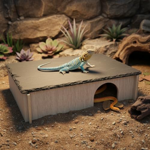 PINVNBY Bearded Dragon Basking Platform, Wood Reptile Hides and Caves, Crested Gecko Hide with Slate Rock, Leopard Gecko Tank Accessories for Small Lizard Snake (M: 9.84x5.9x2.76 inches) - size: M: 9.84x5.9x2.76 inches