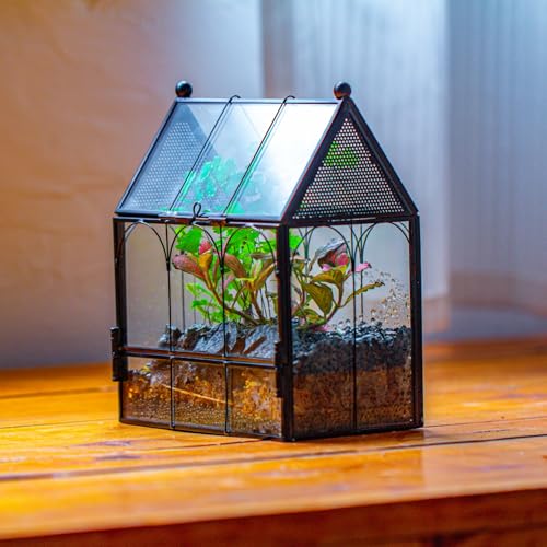 NCYP Small Glass Terrarium Enclosure with Mesh for Jumping Spiders, Micro House Shaped Small Spiders Vented Glass Terrarium, Home Decor Black, 5.8" x 3.8" x 7" (No Plants) - size: 5.8" x 3.8" x 7"