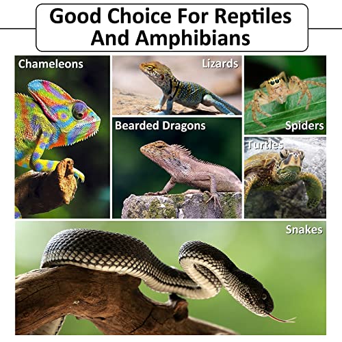 Hamiledyi Reptile Bark Bedding Tortoise Habitat Substrate Natural Terrarium Bark Wood Chips Tank Supplies for Snake Spiders Bearded Dragons Hermit Crabs Geckos - size: 1 Pcs-Large Reptile Bark Bedding