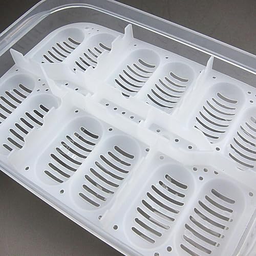 Reptile Breeding Box Incubation Box Hatching Case Hatching Tray | 16 Grids Transparent Reptile Incubator for Snake Lizard Turtle Gecko Chameleon Bearded Dragon Leopard Gecko Egg Incubation - color: A