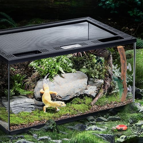 POPETPOP Wood Display Stand Reptile Accessory Grapewood Stand for Bearded Dragon Lizard Terrarium Wooden Climbing Toy with Smooth Round Edges 11.81 X 1.18 X 1.18 in