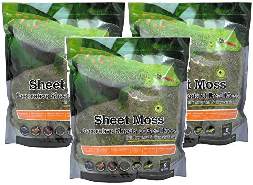 Sheet Moss Decorative