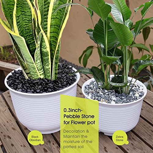 RIFNY Decorative Polished Rocks, 0.3" Gravel Rocks Crushed Crystal for Plant Flower Pots Succulents Cactus Bamboo Plant Vase Filler Aquarium Fish Tank Decorations (1.5 LB, Black Obsidian) - color: Black, size: 1.5LB