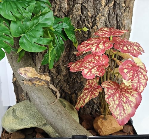 Woyrise Reptile Artificial Plants for Terrarium Decor, Amphibian Habitat Decorations Bearded Dragon Tank Accessories fit Crested Gecko Leopard Lizard Chameleon Snake Frog - Fake Pink Heuchera - color: F-pink Heuchera