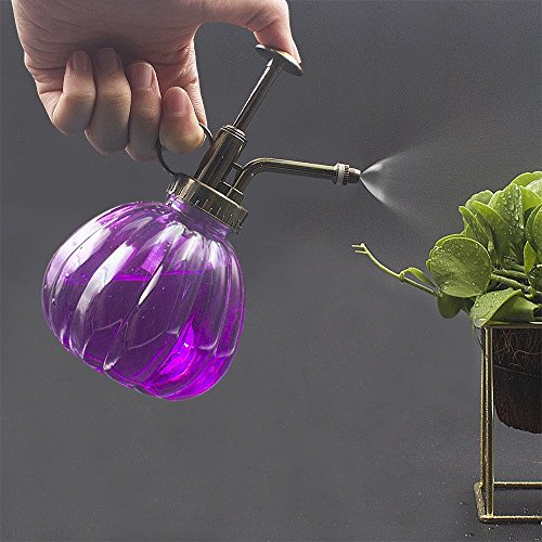 Flower Water Spray Bottle Can Pot Plant Mister | Vintage Pumpkin Style Decorative Glass Plant Atomizer Watering Can Pot with Pump for Terrariums Flowers Potted Plants (Purple) - color: Purple