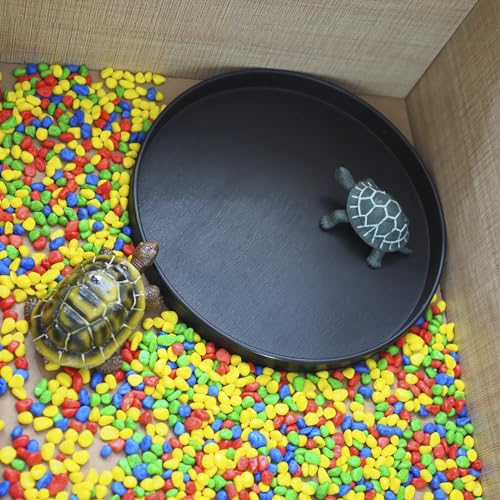 OMEM Reptile Food Bowl Water Dish,Feeding Dish, Birds Bowl (M, Black) - color: Black, size: Medium