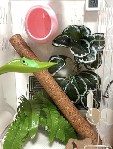 Woyrise Reptile Hide Cave Plastic Egg Shape Hideout, Gecko Hide with Strong Suction Cups Climbing Toys Reptile Shelter Sleeping Cave for Arboreal Reptiles, Frogs, Spiders Terrarium Decor - Pink