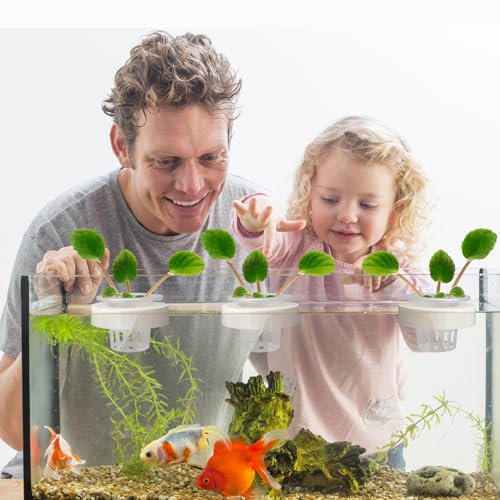 Plus tard 3 Set Floating Aquarium Plant Holders with Suction Cups, Fish Tank Plant Holders, Translucent Baskets for Hydroponic Plant Cultivation and Aquascape Decoration