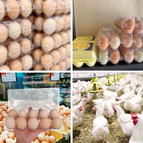 98 Pack Bulk Egg Cartons, Clear Plastic Chicken Egg Holders, Egg Tray Carton Holder for Home & Kitchen, Farm & Market Use, An Eco-Friendly Egg Storage Solution, 10 Grids(Medium Size) - size: 98 Pack Egg Cartons 10 Grids