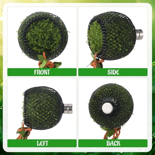 Guiqulai Jumping Spider Hideout Magnetic Moss Habitat with Climbing Rope | Magnetic Moss Spider Terrarium Hide With Climbing Rope, Arboreal Habitat Decor for Jumping Spiders Small Reptiles