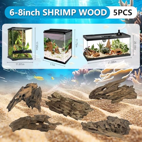 5 Pcs Natural Honeycomb Wood 6-8", Porous Aquarium Driftwood | Cholla Wood Shrimp Shelter Breeding Cave, Shrimp Dragon Wood for Fish Tank, Aquascaping, Reptile, Terrarium Decor - color: Shrimp Wood 6-8in(5PCS)