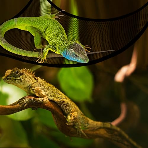 2 Pcs Bearded Dragon Lizard Hammock, Triangular, Breathable Mesh, Black, 13" x 13" x 19" - color: Black
