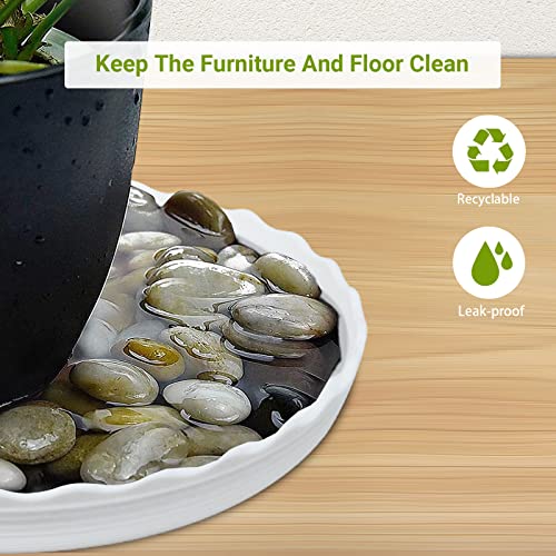 Plant Saucer, 7 Pack 5 Inch Durable Plastic Plant Tray, White Round Plant Pot Saucers, Drip Tray for Indoor and Outdoor Garden - color: White (5" x 7)