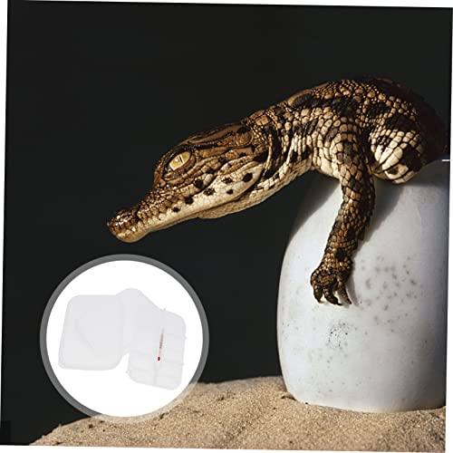 Compartment Chicken Quail Egg Incubator for Hatching Reptile Tank Egg Carrier Breeder Box