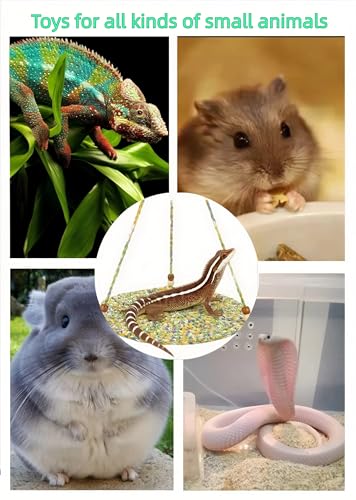 Reptile Hammock Essential for Bearded Dragon, Hanging Bed for Lizard, Gecko, Chameleon, Hamster & Small Pets