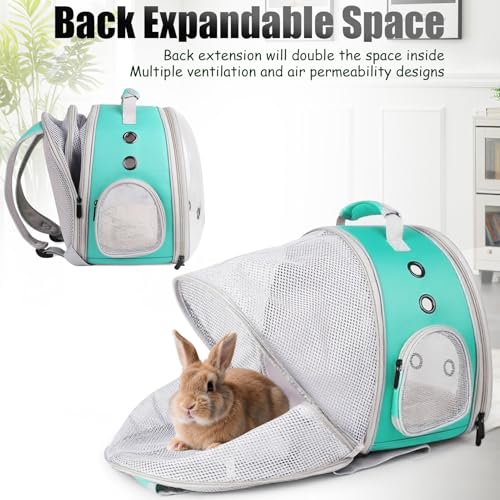 Back Expandable Backpack for Small Animals, Portable Travel Bag Breathable Pet Carrier Cages for Bunny, Guinea Pig, Bearded Dragon, Lizard, Rabbit, Squirrel, Tortoise, Kitten, Sugar Glider - color: Green