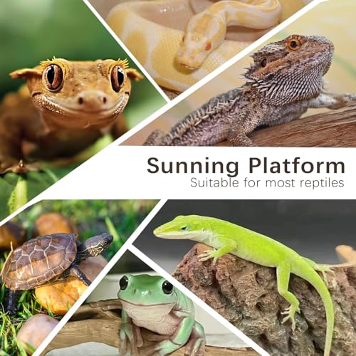 Bearded Dragon Basking Platform,Reptile Slate Rocks with Wooden Pile,Leopard Gecko Hides and Caves Climbing Tank Accessories for Lizards Snakes Tortoise Ball Python(Large High)