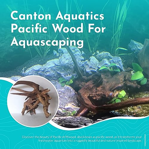 Pacific Wood for Aquascaping Size: Medium