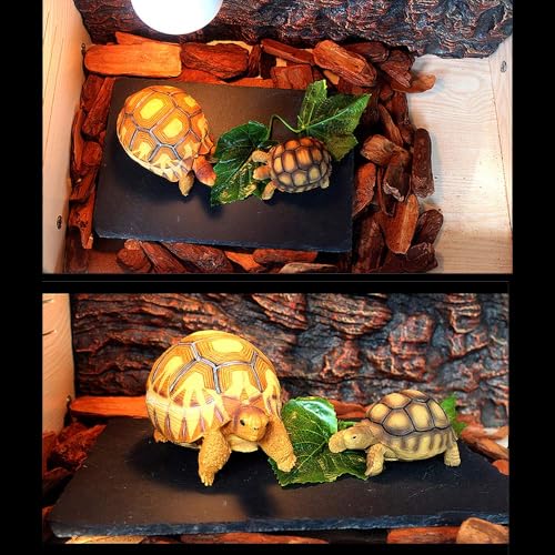 kathson Reptile Basking Platform (7.9 x 11.8 inches), Natural Rock Plate Turtle Food Bowl Feeding Dish Resting Terrace Habitat Decor for Tortoise Turtle Lizard Bearded Dragon Crested Gecko Snake - size: 7.9x11.8inch,1PCS