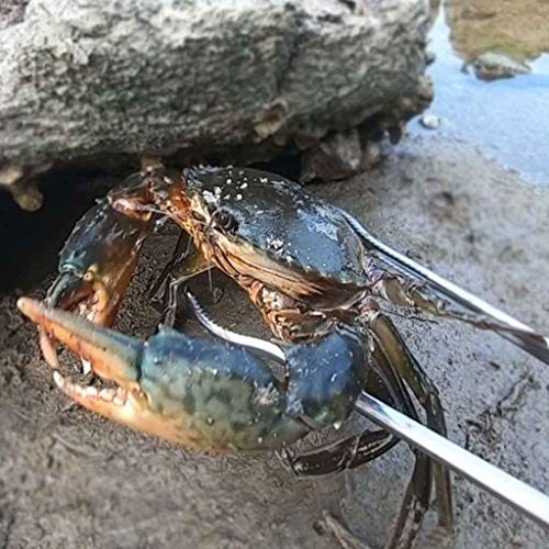 Multi-Function Clip Scissor Tongs Anti-Slip Tool Clip Sea Crab Artifact Crab Tongs 14.5 Inches Long Metal and ABS Material Silver and Red (Curved Head) - size: Curved Head