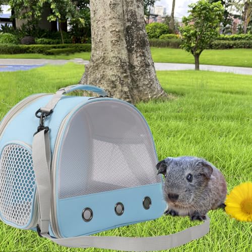 Ventilation Cage,Bearded Dragon Travel Carrier,Guinea Pig Carrier,Guinea Pig Bag for 2,Reptile Travel Carrier for Lizards Sugar Glider Hedgehog Rat Parrot Birds,Airline Approved (Blue, Mesh Carrier) - color: Blue