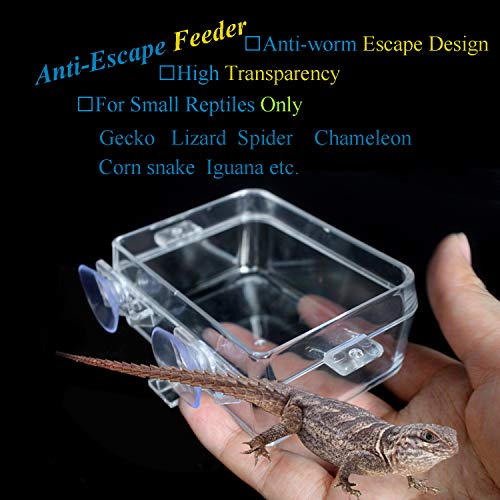 Reptile Gecko Feeder Dish Bowl Chameleon Worm Anti-Escape Bowl Suction Cup Feeder for Reptiles, 1 Feeder and 2 Feeding Tong