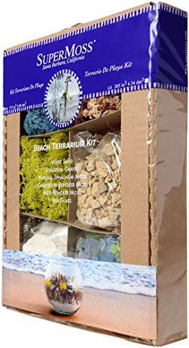 SuperMoss (90422) Beach Terrarium DIY Kit – Create Stunning Nature-Inspired Mini Gardens – Perfect for Home Decor, Office Gifts, and Plant Lovers, Appx 4 Oz