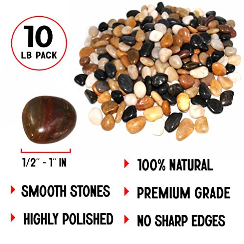Polished Colored Pebbles 10 Lb. ½” – 1” inch Pebbles for Plants, Gardens, Décor, Landscaping, Succulent, Terrarium ,Decorative, 100% Natural Colorful Stone Pebbles without Fillers, Multicolored Rocks