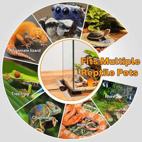 Reptile Heating Pad with Thermostat, 10-Level Adjustable Under Tank Heater, 6x11 Inch Graphene Heat Mat for Turtles Frogs Snakes Lizards Geckos Hermit Crabs Spiders, Safe & Even Warming
