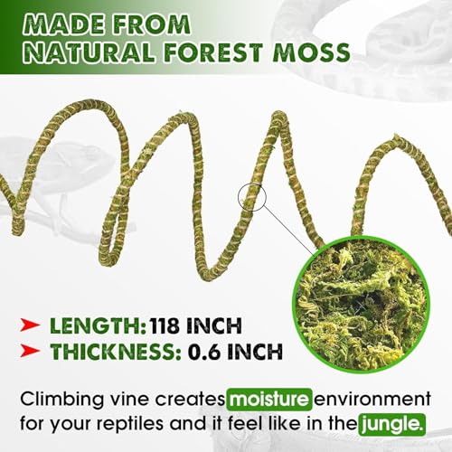 Reptile Decor Set, 10FT Bendable Vine & 4 Oz Dried Forest Moss | Climbing Branch Natural Habitat Decor for Bearded Dragon, Chameleon, Snake, Gecko & Lizard Terrarium Tank Accessories - color: Green Reptile Moss Set - 10 Feet
