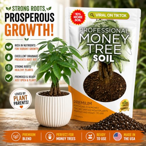 Leaves & Soul Money Tree Potting Soil 2.2 Qt for Money Tree Plants Indoor | Soil for Indoor Plants with Lasting Moisture Balance, Supports Money Tree Plant Growth and Healthy Root Development - color: Money Tree Soil, size: 2.2 Quarts
