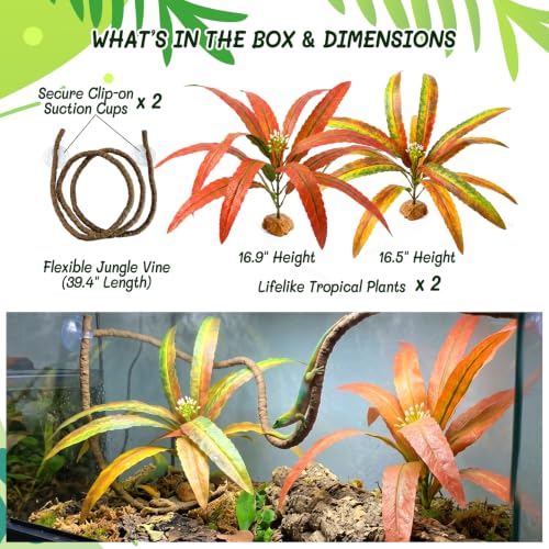 3PC Reptile Plants Terrarium Decor Kit - Artificial Leaves with Hanging Vine, Resin Stone Base – Rainforest Tank Decoration & Habitat Setup for Chameleon Ball Python Bearded Dragon Snake - color: Calathea Ornata