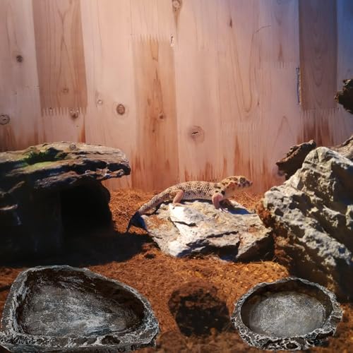 Reptile Water Dish Food Bowl, 3 Pack Reptile Feeding Bowls for Bearded Dragon Lizard Frog Gecko Tortoise Hermit Crab Snail (Black) - color: Black - 3 Pack Bowls