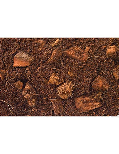 T-Rex Reptile Terrarium Substrate - Jungle Bed (8qt)