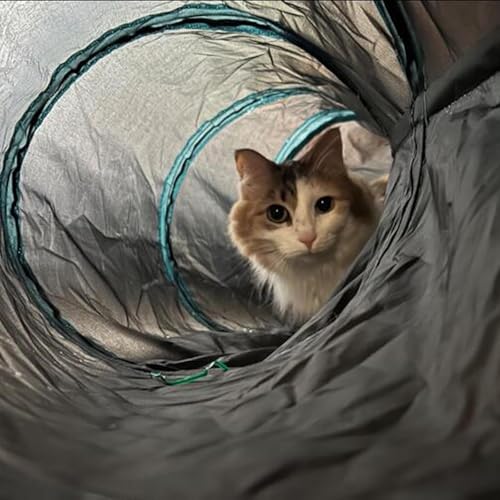 Bemodst Cat Tunnel for Indoor Cats, 5 Way Cat Tubes and Tunnels Collapsible S-Shape Small Animal Tubes Kitty Tunnels Interactive Maze Cat Toy for Kitten Rabbit Ferret - 5 Way - color: Black&Blaue 5 way