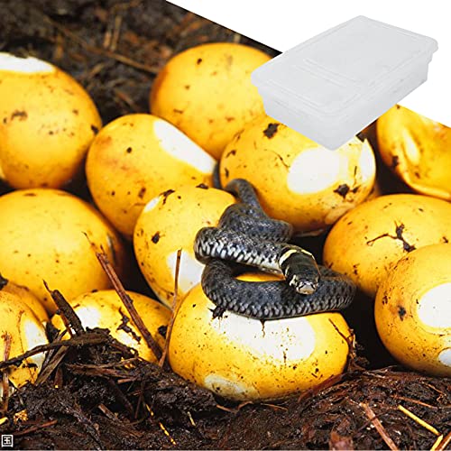 POPETPOP Hatching Box for Reptiles Lightweight Incubation Container for Snakes Lizards and Geckos Transparent Design for Visibility Safe Plastic Material for Growth