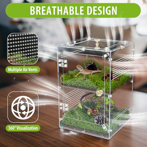 Large Jumping Spider Enclosure, 2 in 1 Ventilated Reptile Terrarium for Praying Mantis,Arboreal Tarantula,Crested Gecko, 12"*8"*8" Acrylic Habitat with Removable Divider,Front Opening & Top Lid - size: Large-12''x8''x8''