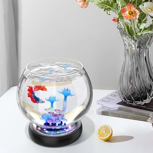 hygger 0.5 Gallon/1 Gallon Glass Fish Bowl with LED Light and Decor, Small Round Betta Fish Tank Goldfish Bowl, Round Clear Unbreakable Aquarium/Vase/Hydroponic Plant Terrarium, Nice Centerpieces - size: 0.5 Gallon Fish Bowl with Coral