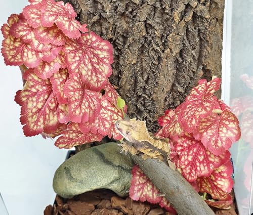 Woyrise Fake Reptile Plants for Terrarium,Tank Decor, Artificial Plant | Hanging Plant with Suction Cup,Amphibian Habitat Decor,Tank Accessories for Snake Gecko ChameleonTortoise(Pink Heuchera) - color: C-fake Heuchera Micrantha Pink
