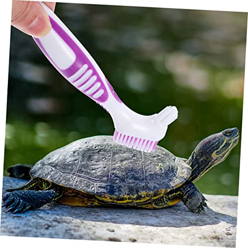 ORFOFE 4pcs Portable Turtle Care Cleaning Brace Brush for Tortoise Shell Cleaning