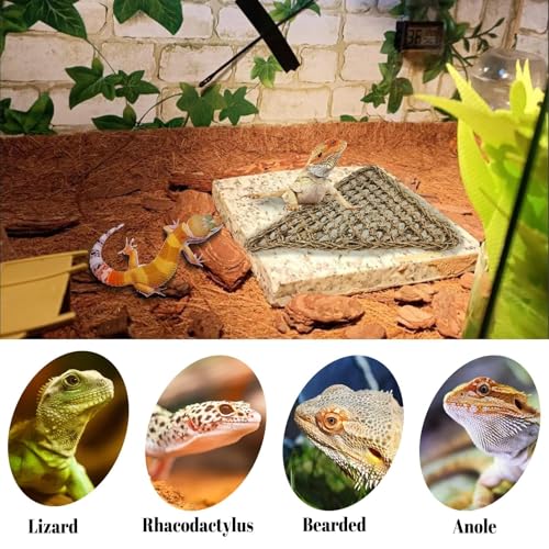 PIVBY 4 PCS Bearded Dragon Hammock, Bearded Dragon Tank Accessories, Flexible Reptile Jungle Vines Terrarium Decor for Chameleon, Lizards, Crested Geckos, Snakes, Lguana, Amphibian Reptiles Habitats - size: 4 PCS