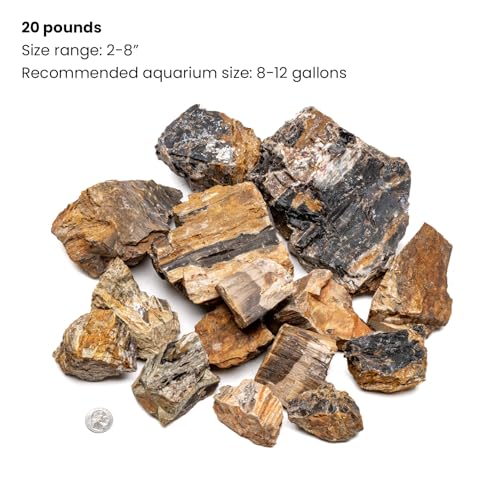 Natural Stone for Aquarium, Terrarium, Paludarium, Reptile Enclosures - Set of Decorative Rocks for Landcapes, Aquascaping, Fish Tank Decor (Petrified Wood Stone, 20 Pounds, 2-7") - color: Petrified Wood, size: 20 Pounds