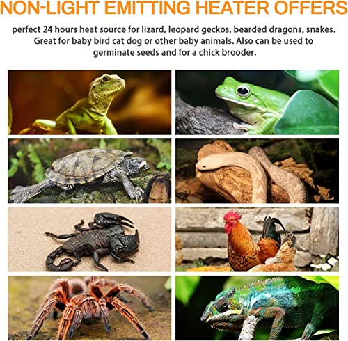 HealSmart Reptile Heat Lamp Bulb Ceramic Heat Emitter 100W No Light Emitting Brooder Coop Heater for Amphibian Pet & Incubating Chicken, 2 Pack, White