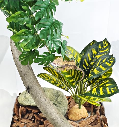 Woyrise Reptile Artificial Plants for Terrarium Decor, Amphibian Habitat Decorations Bearded Dragon Tank Accessories fit Crested Gecko Leopard Lizard Chameleon Ball Python Snake Frog - Prayer Peacock - color: B-prayer Peacock